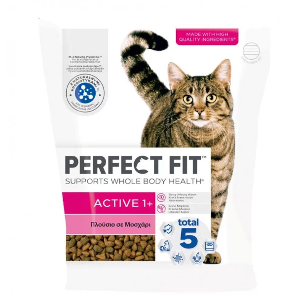 Perfect Fit Active 1+ Complete Dry Cat Food Beef  750g
