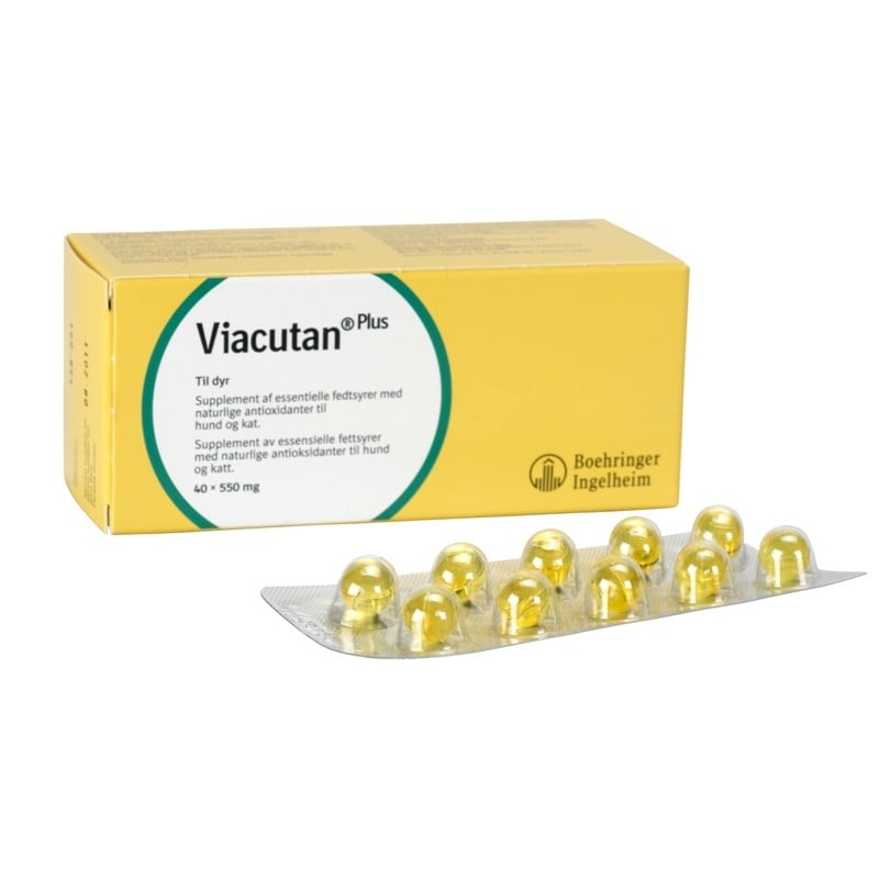 Altavet Viacutan Plus 550mg for Cats & Dogs  40 kapsula
